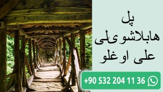پل هابلاشویلی علی اوغلو